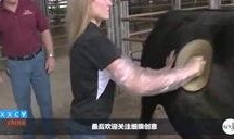 恐怖洞在线观看,惊悚探险，揭秘未知深渊