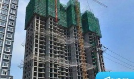 保定市天瑞馨最新爆料,揭秘项目真相与争议焦点